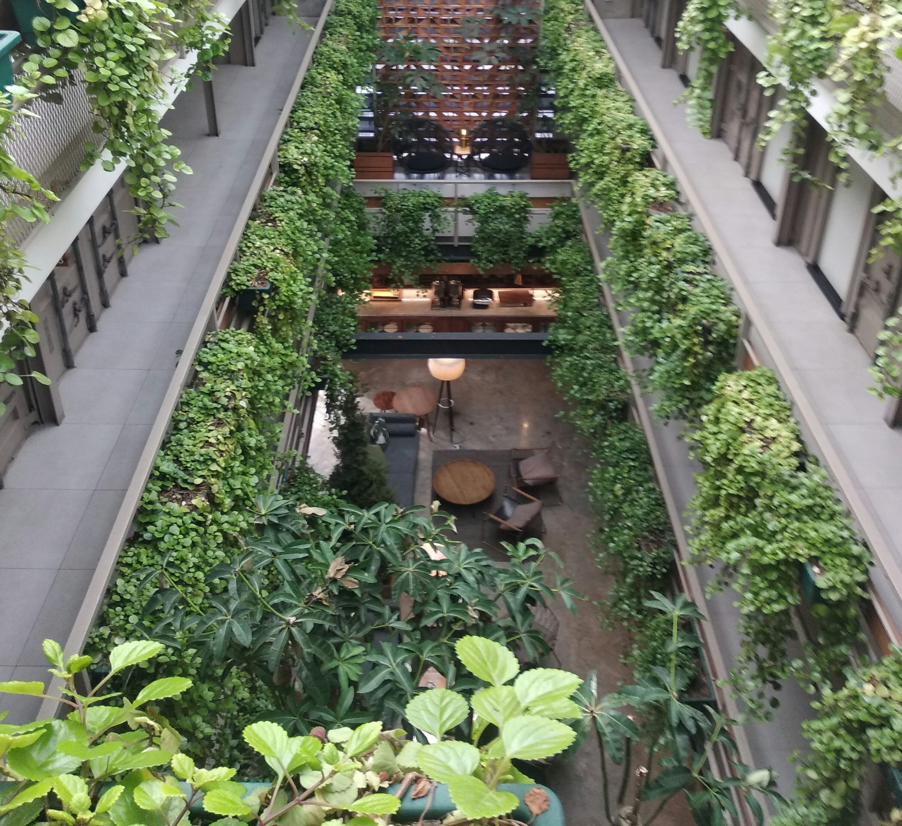 plant leasing for atriums