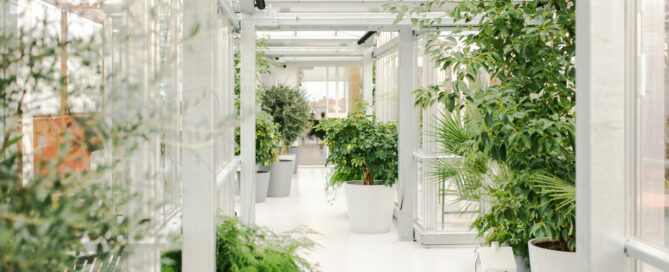 plant leasing sarasota and bradenton