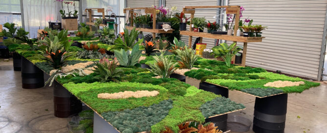 plant leasing services