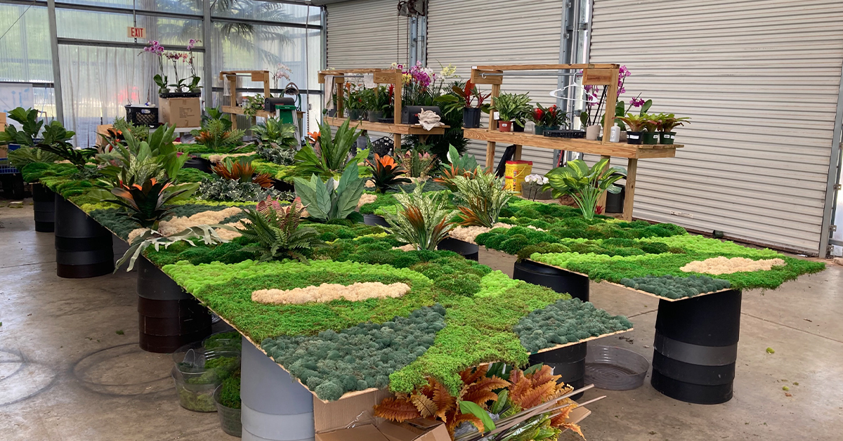 plant leasing services