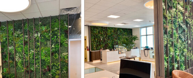 plant leasing services