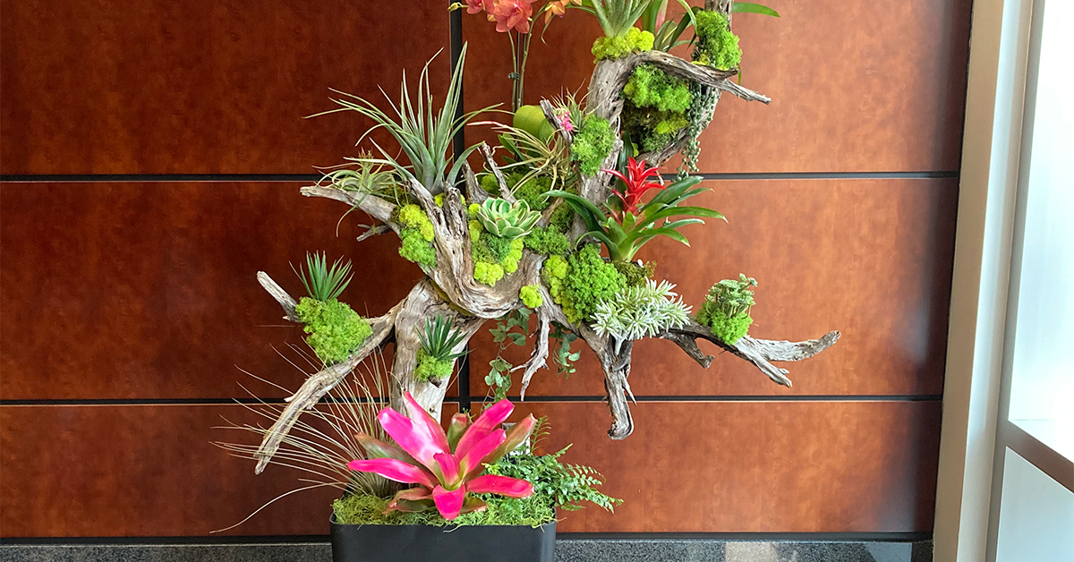plant leasing services